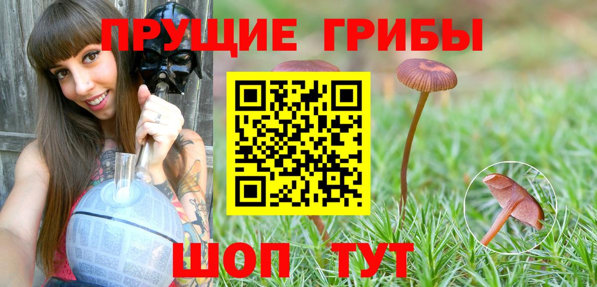 Белогорск  Галлюциногенные грибы Psilocybine cubensis  Вход с VPN  Галлюциногенные грибы GOLDEN TEACHER 